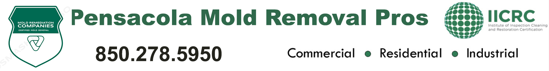 Pensacola Mold Removal Pros