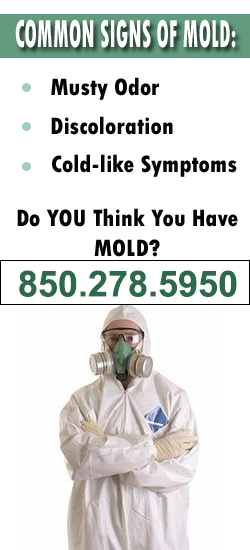 Pensacola Mold Remediation Contractor